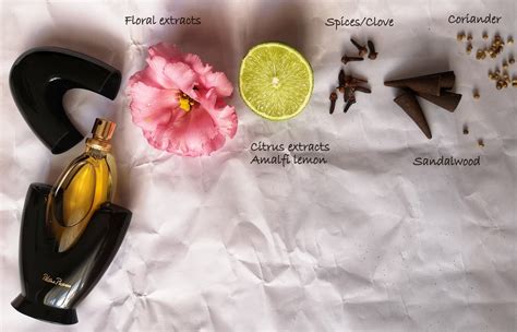 paloma picasso perfume fragrance notes.